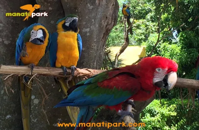 Manati Park Punta Cana